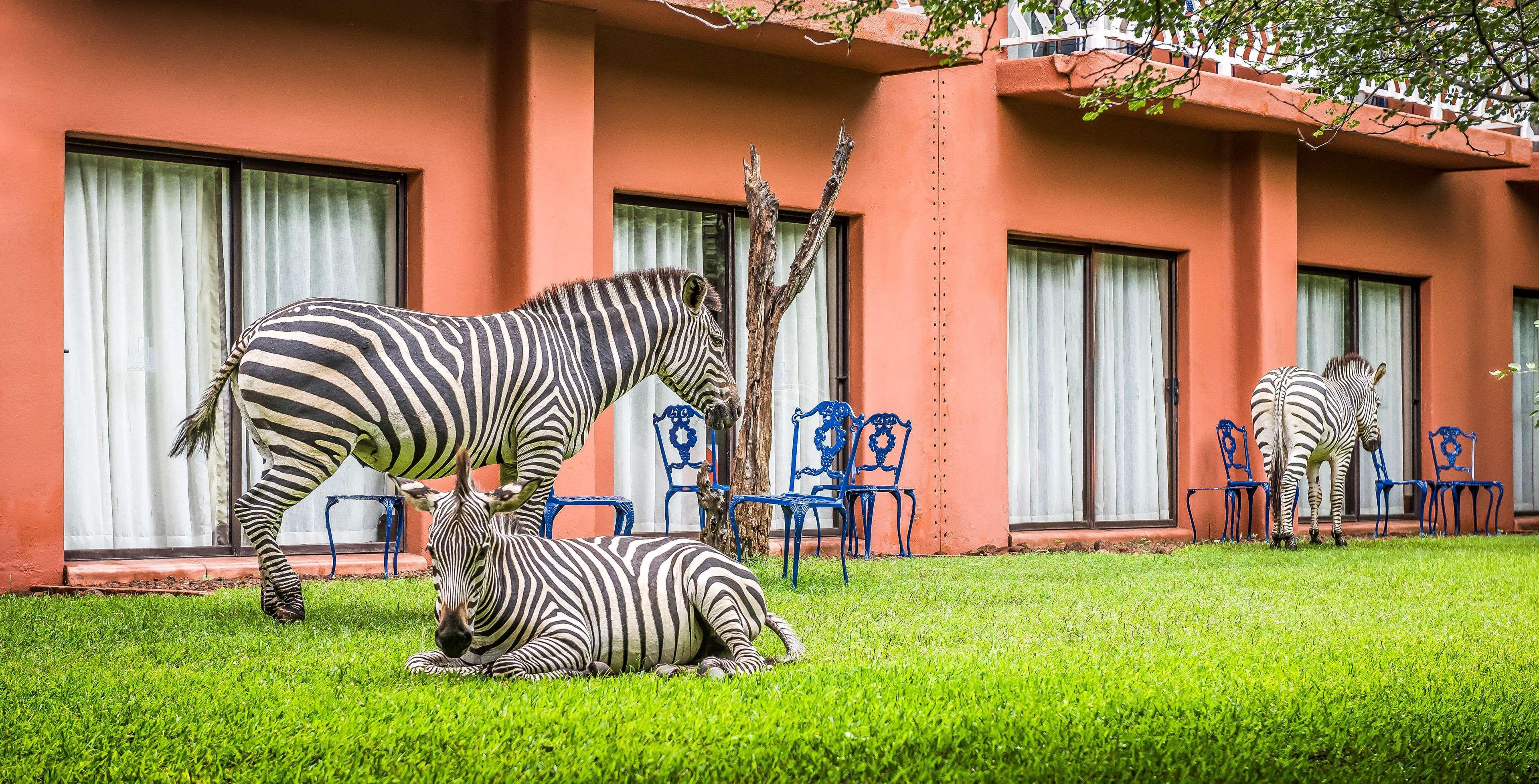 Avani Victoria Falls Resort Livingstone Buitenkant foto