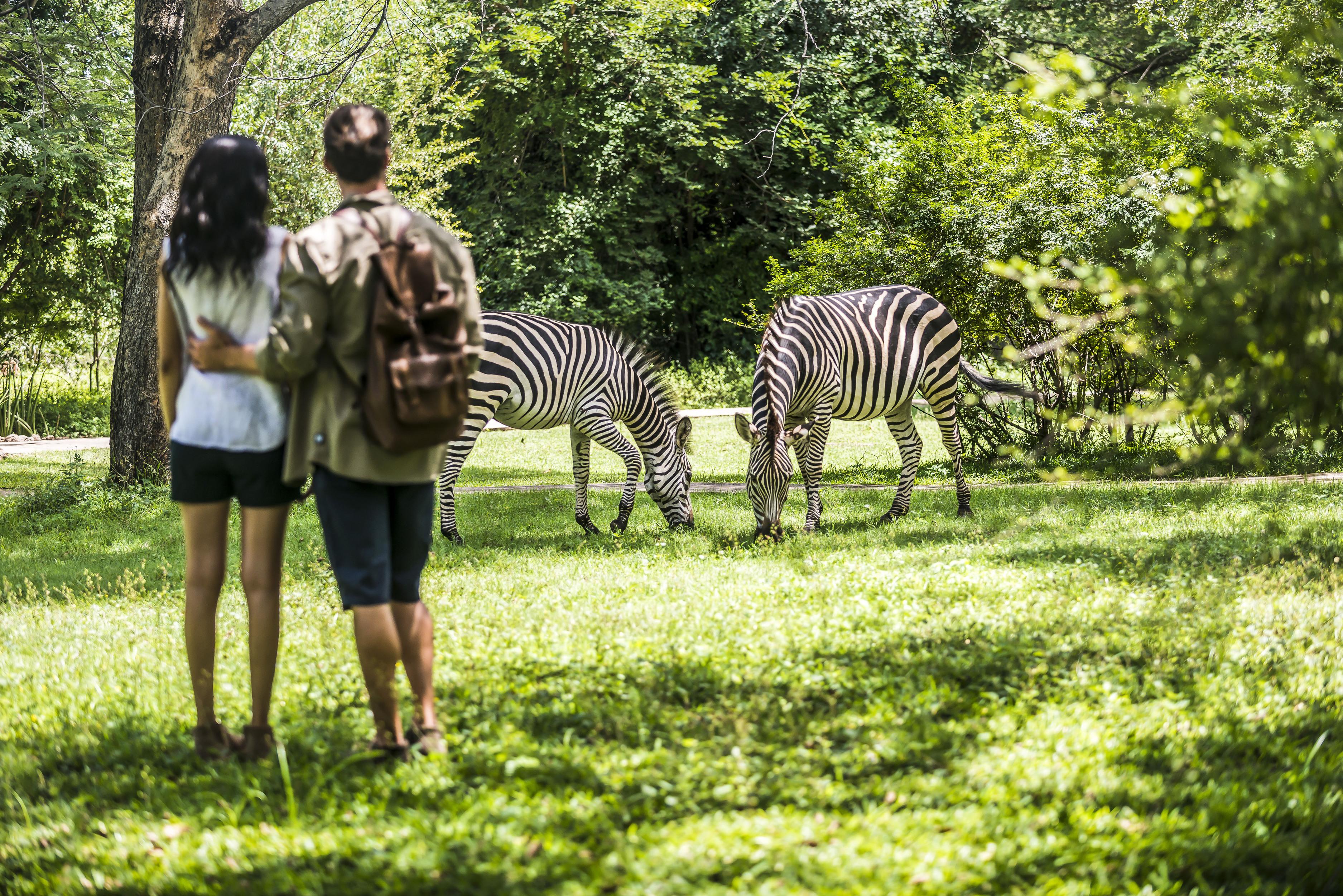 Avani Victoria Falls Resort Livingstone Buitenkant foto